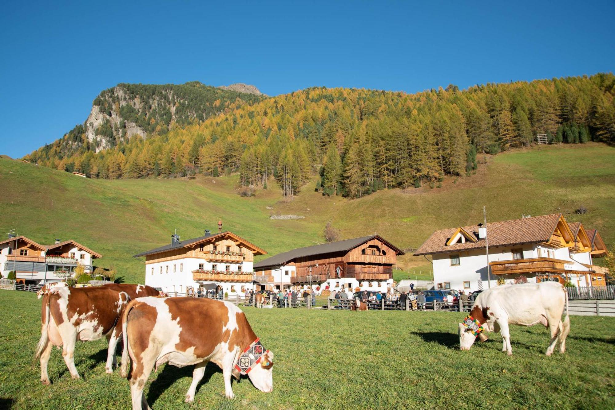 Mooserhof Campo Tures Bagian luar foto